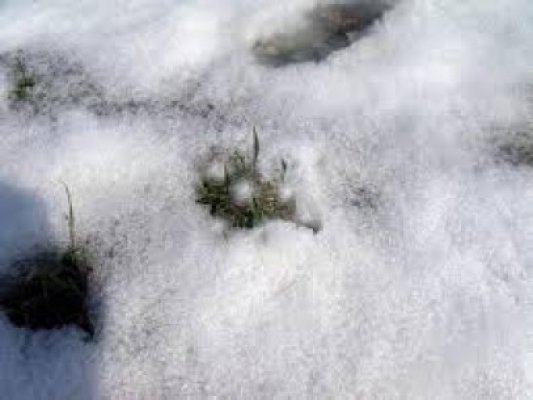 Constantin: Zăpada a venit la timpul potrivit pentru agricultură